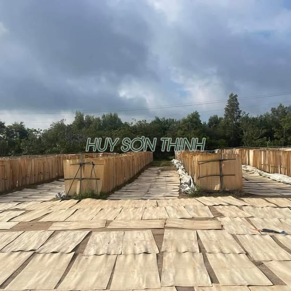 Ván lạng dày 1.7mm / 2.0mm theo yêu cầu